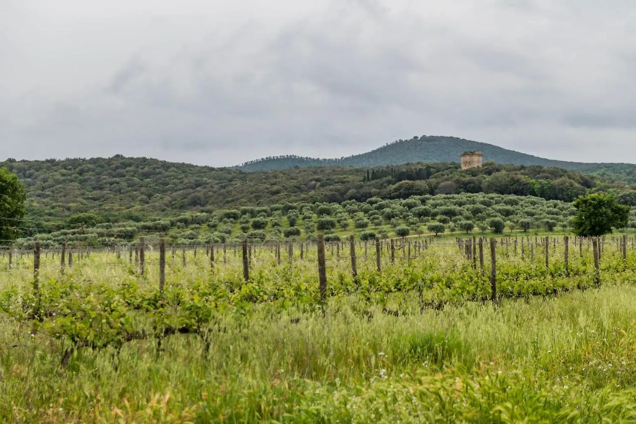 Tenuta Agricola Dell'Uccellina Magliano in Toscana
