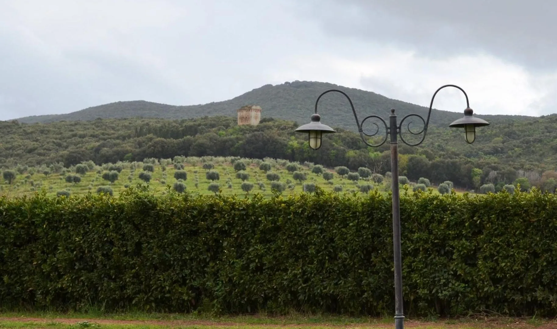 Tenuta Agricola Dell'Uccellina Villa Talamone Italy