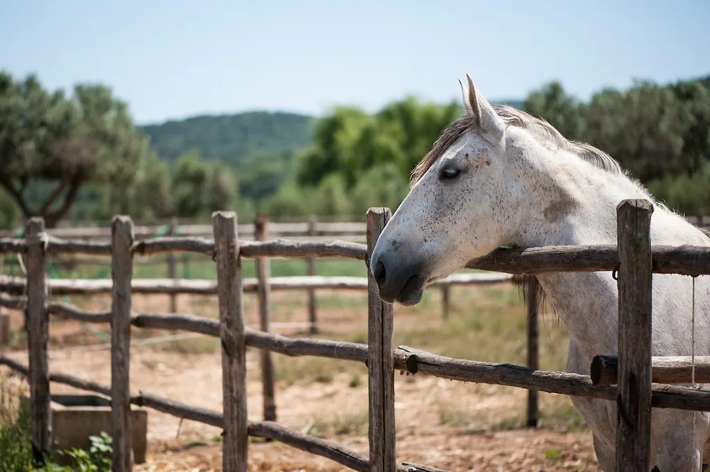 Séjour à la ferme Tenuta Agricola Dell'Uccellina Magliano in Toscana Italie