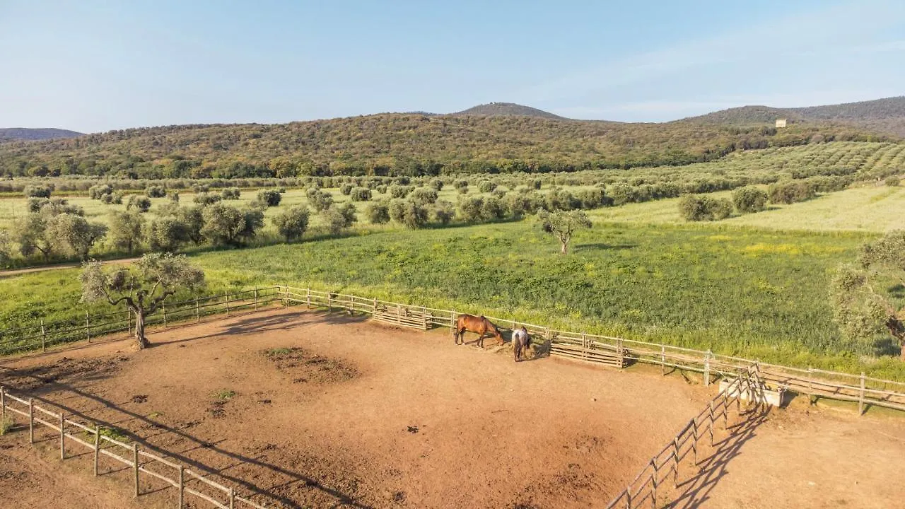 Bauernhof Tenuta Agricola Dell'Uccellina Magliano in Toscana