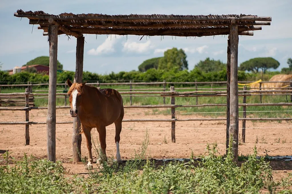 Tenuta Agricola Dell'Uccellina Magliano in Toscana Bauernhof
